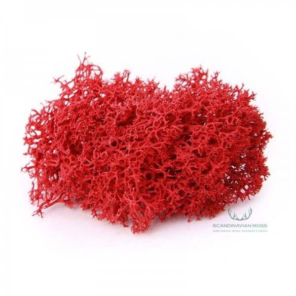 Purified Reindeer Moss Red 2,5 kg Norwegian